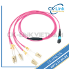 Dây Nhảy Quang MPO/UPC 8FO x 4LC/UPC Duplex OM4