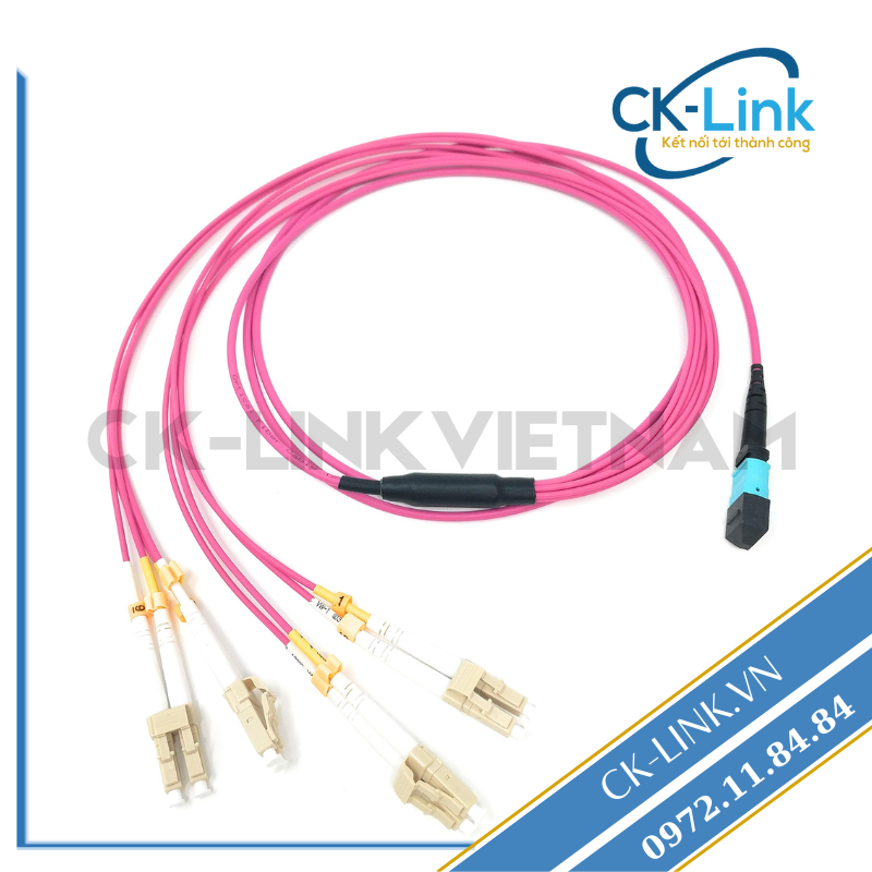 Dây Nhảy Quang MPO/UPC 8FO x 4LC/UPC Duplex OM4 Dây Nhảy Quang MPO/UPC 8FO x 4LC/UPC Duplex OM4