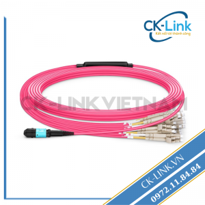 Dây Nhảy Quang MPO/UPC 24FO x 12LC/UPC Duplex OM4